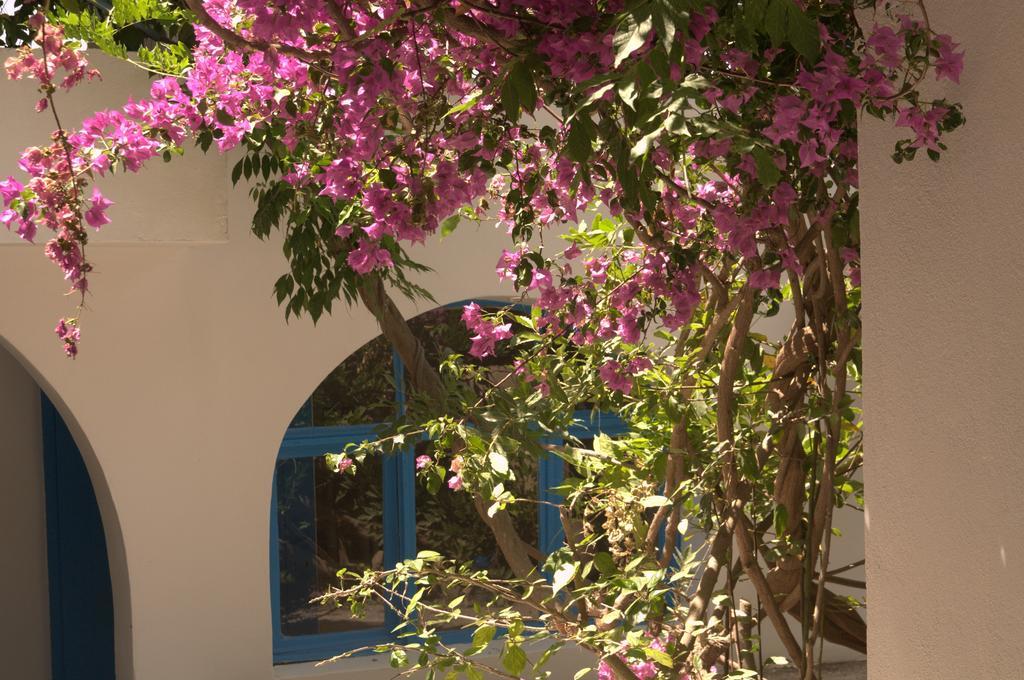 Pasalimani Hotel Cesme Exterior photo